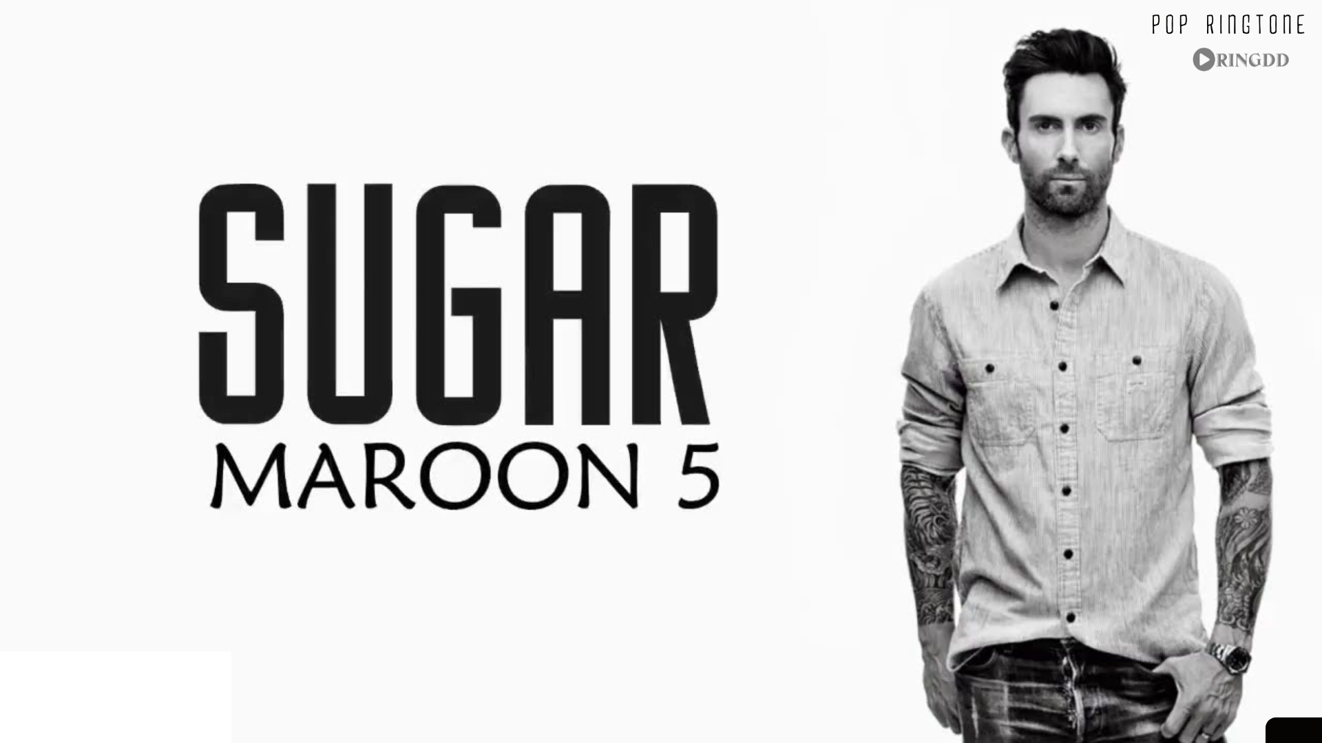 Марун 5 перевод. Марун 5 сахар. Maroon 5 Sugar. Sugar Maroon 5 обложка. Maroon 5 - Sugar Genius.